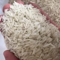 تمام برنج های امساله ایرانی|خوردنی و آشامیدنی|تهران, امین حضور|دیوار