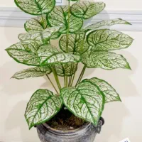 بوته ی مصنوعی وارداتی با ۱۸ برگ لمسی