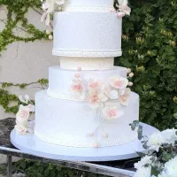 کیک عروسی شیرینی. کیک کافه یلدا|خوردنی و آشامیدنی|قم, نوقطار|دیوار