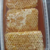 تخفیف ویژه پاییزی  عسل‌های  طبیعی به شرط آزمایش|خوردنی و آشامیدنی|فسا, |دیوار