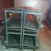 فروش قفس ایستاده مرغتخمذار|لوازم جانبی حیوانات|فراغی, |دیوار