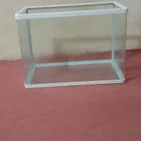 آکواریوم شرکتی