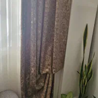 پرده|پرده، رانر، رومیزی|گنبد کاووس, |دیوار