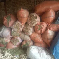 کاه یونجه چین دوم