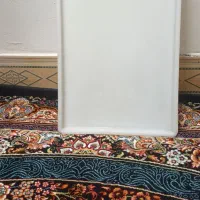 سینی پلاستیکی