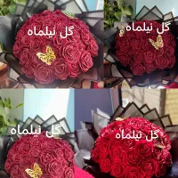گل روبانی پول آرایی