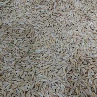 فروش دانه غلات وملزومات پرندگان خانگی|لوازم جانبی حیوانات|اصفهان, عاشق‌آباد|دیوار