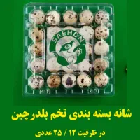 ظرف بستهبندی شانه تخم مرغ بلدرچین کبک