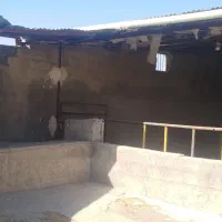 دامداری|فروش دفتر صنعتی، کشاورزی، تجاری|الوند, |دیوار