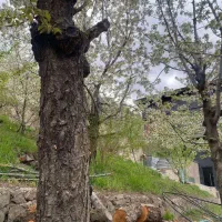 زمین/ ۴۷۰ متر/ مسکونی/ زایگان  AMLAK.ARIYANA