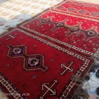 قالی دستبافت پشمی سنتی و نو|فرش|ایزدخواست, |دیوار