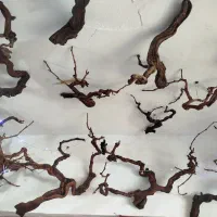 طراحی داخلی سنتی|خدمات پیشه و مهارت|بجنورد, |دیوار