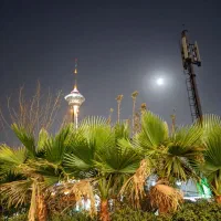 راننده ولت پارک(پارکبان)