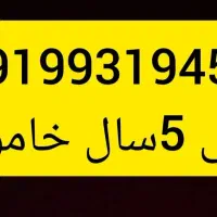 خط ۹۱۹ دائمی ۵سال خاموش