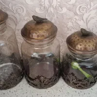 پاسماوری شیشه ای