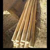 خرید فروش انواع چوب خشک میوه قلمه..