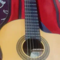 فروش گیتار پالادو