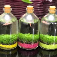 تراریوم،ویال۱۰۰ چمنشده،کالرویدو،ماهی زبرا،تنگ