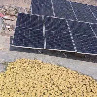 هیزه گوسفندی.سبزی خورشتیی و...|خوردنی و آشامیدنی|شباب, |دیوار