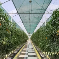 توری هراز  آمل