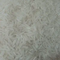 برنج طارم محلی گرگان و طارم هاشمی فریدونکنار