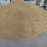 جو شش پر درجه ۱ بذری