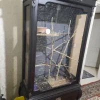 قفس پرنده