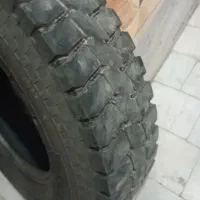 گمشده