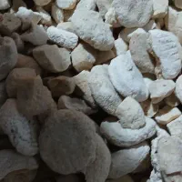 کشک|خوردنی و آشامیدنی|زاغه, |دیوار