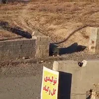 ۶۰۰مترامام رضا۱۷حاشیه بهاران داخل بافت تهاتر|فروش زمین و ملک کلنگی|طرقبه, |دیوار