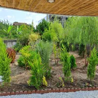 فروش خانه ویلایی 400مترزمین 100بنادوخواب|فروش خانه و ویلا|تهران, استخر|دیوار
