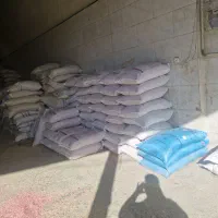 جو ابی شهبد|خدمات باغبانی و درختکاری|ملایر, |دیوار