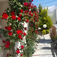 امور باغبانی