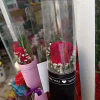 گل رز شاخه|گل و گیاه طبیعی|بیرجند, |دیوار