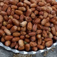 سنجد تازه