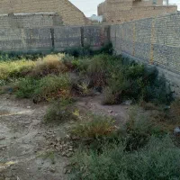 فروش زمین ام طمیر 511.13متر سند تک برگ|فروش زمین و ملک کلنگی|اهواز, اسماعیلیه|دیوار