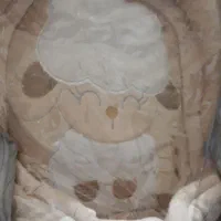 کریر ک آغوشی|کالسکه و لوازم جانبی|فردیس, فرامرزیه|دیوار