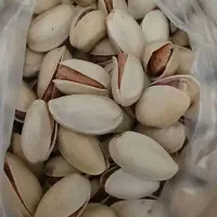 فروش-باغ-پسته-3400متر-قنوات-مرادآباد-2-ساعت-آب