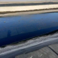 فروش ما هی،|ماهی|تربت‌حیدریه, پائین ولایت|دیوار