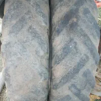 لاستیک جلو رومانی