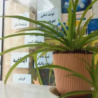 کافی نت خدمات کامپیوتری