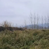 ویلای ۸۰متری دوبلکس|فروش خانه و ویلا|املش, |دیوار