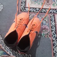 این کفش رو تازه خریدم نو نو دورزباش رفتم چمن