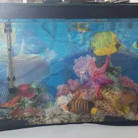 آکواریوم وتسویه یه لجن خوار ۲۳ سانت یه ماهی پرت