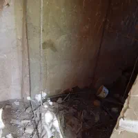 قفس مرغ یا کبوتر