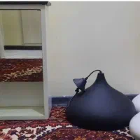 آینه و لوستر