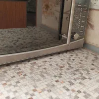 مایکروویو سانی