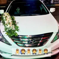 گل و پایپون ماشین عروس