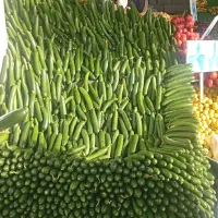 نیروی استا کار میوه فروشی و‌نیرو تخلیه بار