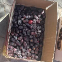 خرما درجه ۲